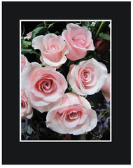 Pink Long Stem Roses Wrapped Bouquet