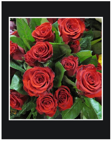Red Long Stem Roses Wrapped Bouquet