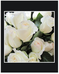 White Long Stem Roses Wrapped Bouquet