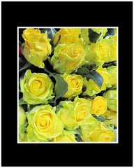 Yellow Long Stem Roses Wrapped Bouquet